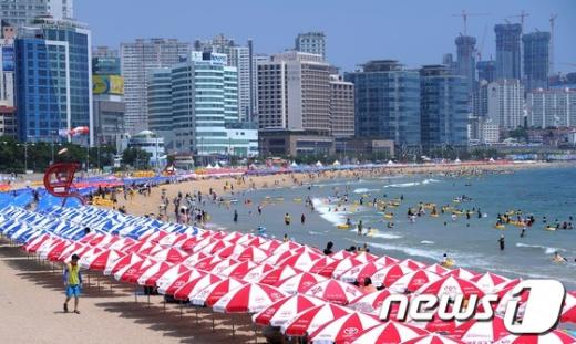 [사진]막바지 여름