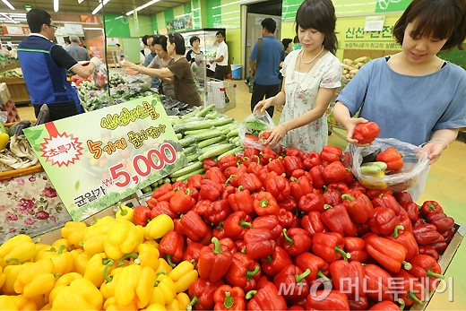 [사진]하나로클럽 양재점, '신선채소 골라 담아 가세요'