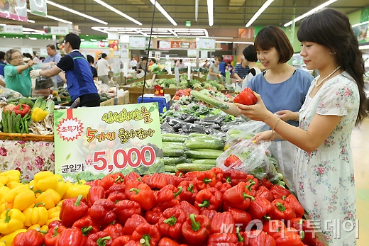 [사진]'신선채소 골라 담아 가세요'