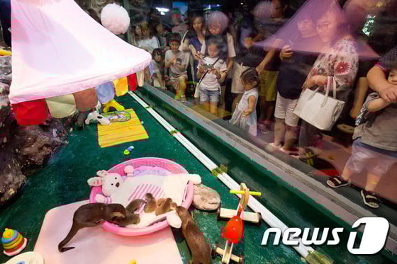 [사진]'귀여운 아기수달 만나러 오세요!'
