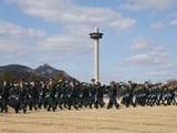 사관학교 통합 및 개편 논란