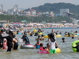 바가지요금 첫 적발 시 즉시 영업정지