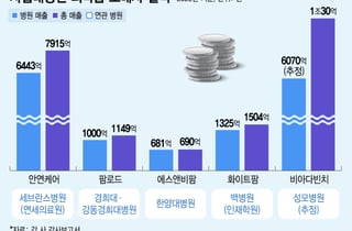 연세대 지분 49% 도매사, '특수관계' 세브란스병원에 6443억 약 판매