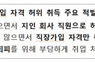 "건강보험 안 낼래"…'가짜 직장가입자' AI로 90.9% 적발한다