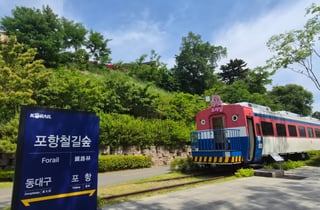 도시 숲의 기적…시민들 걷자 '4300억원' 지갑 열렸다 [넷제로 케이스스터디]