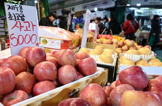 서울시, 2030년까지 아동센터에 주2회 재철과일 지원