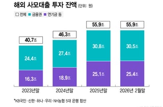 국내 금융사·연기금, 사모대출 55.9조 투자..정부 "관리 가능하다"