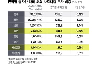 금투업계, 해외 사모대출 투자 3조 수준…펀드 손실사례도 없어