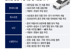 중국 저가車에 마진 눌렸다…현대차·폭스바겐도 앞다퉈 '원가 전쟁'