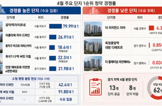 경쟁률은 낮아졌지만 '양극화'는 더 심화…청약도 '선별 시장'