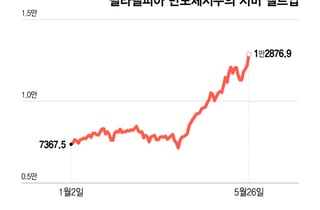 "나만 주식 없어?" 서머 멜트업…주가 상승보다 더 놀라운 것[오미주]