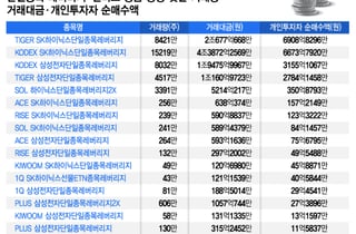 삼전·하닉 2배 상품 상장 첫날…개미는 대형운용사로 향했다