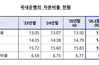 기업대출·환율에 떨어진 은행 자본비율…"규제선은 크게 웃돌아"