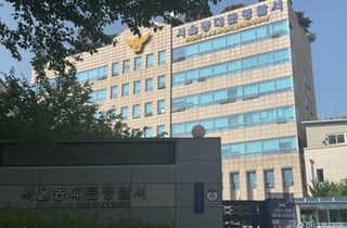 말다툼 끝에 할아버지 찔렀다...20대 손녀 '존속 살인'