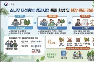 산림청, '재선충병 방제사업지' 상시 점검체계 가동