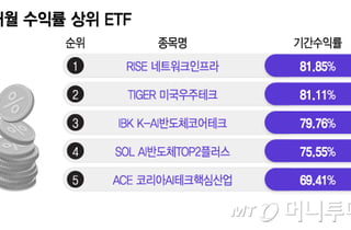 "삼전닉스만 봤다가 후회"...'이 종목' 담은 ETF, 한달 최고 수익률 81%