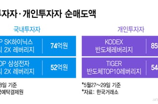 "국장서 두배 삼전·닉스 사자"…홍콩 간 개미들 돈 돌아온다