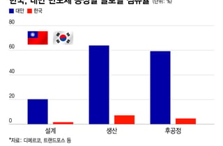 이번엔 대만… 젠슨황·K기업 '깐부 회동'
