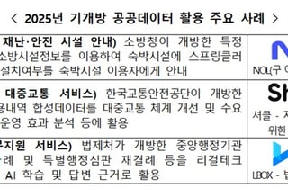 AI 기업 지원 늘린다…행안부, '고가치 공공데이터' 25종 개방