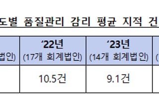 삼일회계법인 등 10개사 품질관리 감리…총 80건 지적