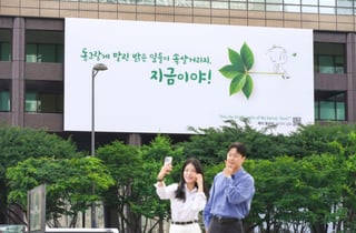"지금이야!"...교보생명 광화문글판 여름편, 시인 메리 올리버 발췌