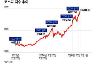 달리는 삼전닉스에 올라탄 코스피…코스피 쏠림 현상 걱정없다?