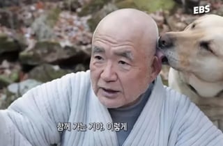 '츄파춥스님' 삼보스님 별세…전재산 30억 기부 후 반려견 곁으로