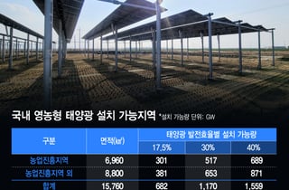 쌀 나는 논에서 '산업의 쌀' 키울 전기 수확…삼전 RE100 해법 찾았다