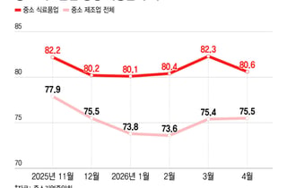K푸드 열풍에 행복한 비명…중소 식품공장 "생산라인 풀가동"