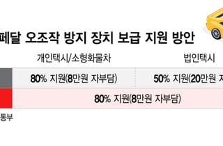 [단독]"법인택시도 80% 보조금"…정부, 페달 오조작 방지장치 보급 확대