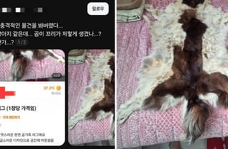 당근에 올라온 "천연 곰 가죽 팔아요"…"다시 보니 개 가죽" 충격