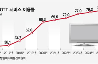 "놀이공원 대신 넷플릭스"…변한 여가 소비, 줄어든 존재감 어쩌나