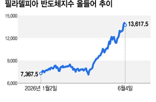 브로드컴이 촉발한 반도체주 매도세…숨고르기인가, 추세 반전인가