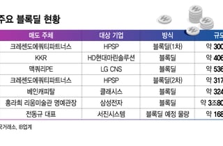 올해 주가급등에 지분 현금화할래…PEF·오너 일가 블록딜 급증