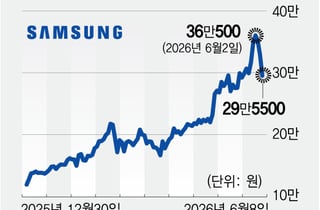 25% 빠졌는데 "삼전닉스 싸게 살 기회"...반도체 아직 튼튼