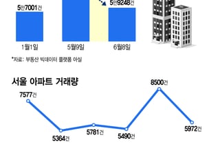 양도세 중과 한 달…서울 아파트 매물 6만건 붕괴·거래량도 30% '뚝'