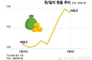 구두개입 효과도 미미..."환율 잡아야" 폭락장에 애타는 개미들