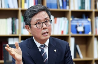 안도걸, 하반기 경제정책 제언…'환율안정·초과세수 활용법' 지목
