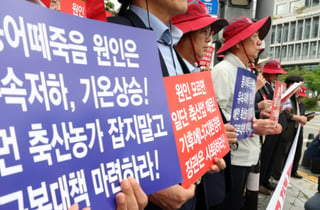 소양호 붕어 집단폐사, 원인은 수질오염 아닌 산소부족 결론