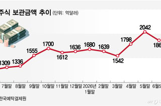 "RIA 혜택 끝" 다시 쇼핑 나선 서학개미…불붙은 환율에 기름 붓나