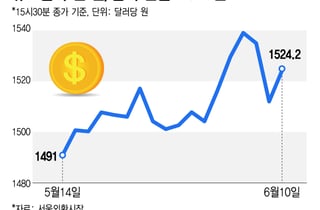 환율 1600원 턱밑, 예상도 못했다…"자구책 바닥, 사업 접을 판" 비명