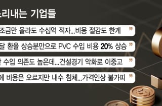 정부 눈치에 가격 동결, 원가는 폭발…고환율 덫에 걸린 기업들