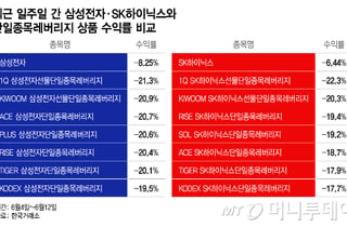 "어젠 -20%, 오늘은 +30%"… 단일종목 레버리지의 함정