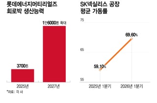 전기차서 'AI·ESS'로 눈돌리는 동박업계..실적 반등 기대