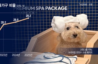 반려인 1500만 시대…댕캉스에 '펫 특화 객실' 인기 많네