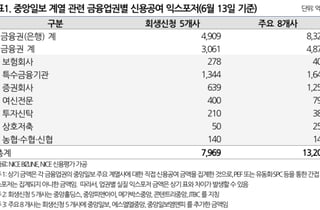 금융권, 중앙그룹 8개사에 1조3200억 신용공여…부실위험