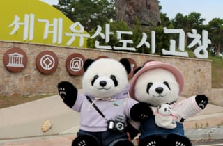 '판다 할부지' 고향부터…루이·후이 전국 여행 나선다