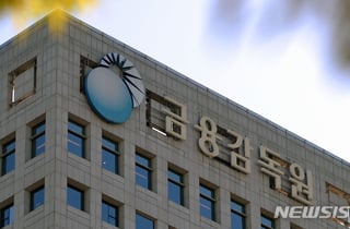 "지금 들어가?" 급등락 커진 국내 증시…금감원, 몰빵·레버리지 경고