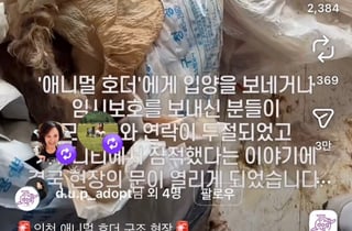 쓰레기집서 8마리씩 죽어도, 아무나 키울 수 있는 法