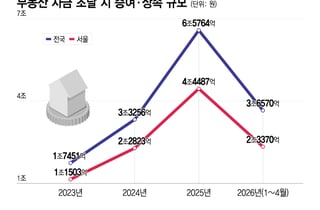 "엄마, 대출 안 나온대요"...강남 집 구매, 필수조건 된 '부모 찬스'